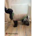 Pull-over pour chiens Odense avec bonnet (kit) - beige/vert