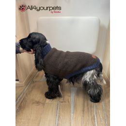 Pull-over pour chiens Odense avec bonnet 