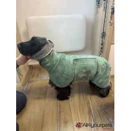 Active micro Fiber coat 