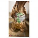 SALE -SOLDE -Bandana - Foulard -Fait main - Attache noeud - Motif "Xmas Tree" - Taille "Cocker"