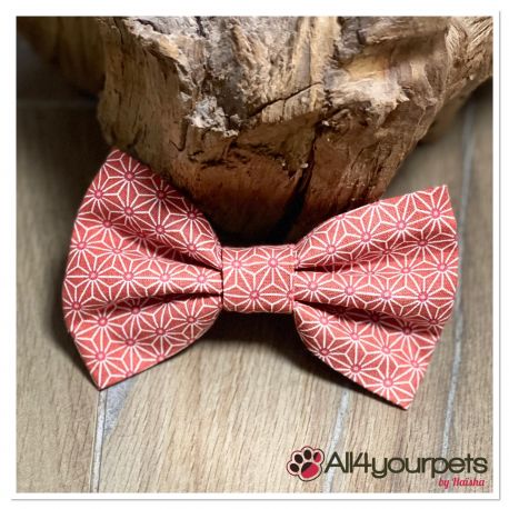 Noeud papillon "Classy" (s'adapte sur tous les colliers)