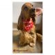 Handmade Bandana - Scarf - Knot Tied - "Stars & Stripes" pattern - Cocker size