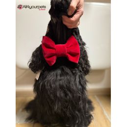 Noeud papillon (s'adapte sur tous les colliers)