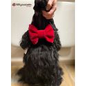 Noeud papillon en VELOURS "Red chic" (s'adapte sur tous les colliers)