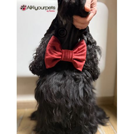 Noeud papillon "Red classic" (s'adapte sur tous les colliers)