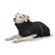 Manteau pour chiens Paxson - Noir