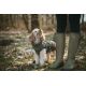 Manteau pour chiens Paxson - Olive