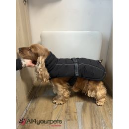 Manteau pour chiens Paxson