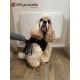 Manteau pour chiens Paxson - Noir