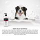 Groom Professional - Berry Blast Shampoo