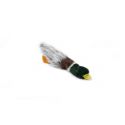 Canard plat 