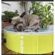 Piscine pour chien Martin Pool - Vert