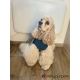 Manteau pour chien 'Uppsala"