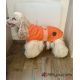 Manteau pour chien 'Uppsala"