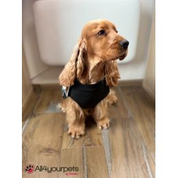 Manteau pour chien 'Uppsala"