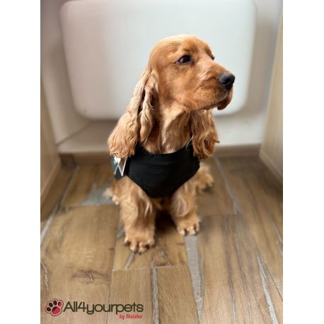 Imperméable pour chiens Milford - Noir