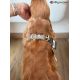 Collier ergonomique Ronda - Belu