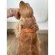 Collier en cuir Aalborg Soul - Cognac