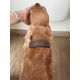 Collier en cuir «&nbsp;Sofia&nbsp;» - Brun 
