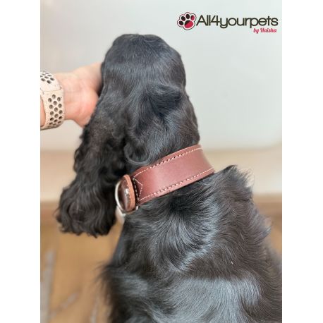 Collier en cuir Aalborg Special - Brun foncé