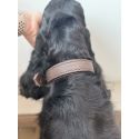 Collier en cuir vegan «&nbsp;Sofia&nbsp;» - Brun 