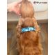 Handmade adjustable fabric collar, "Bow Tie" pattern 