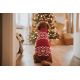 Pull-over pour chiens Birka - Rouge