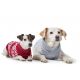 Pull-over pour chiens Odense avec bonnet 