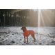 Manteau pour chiens Nordby - Orange