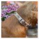 Collier Taiga 