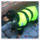 Manteau Fluorescent pour tous les temps - Jaune