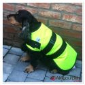 Manteau Fluorescent pour tous les temps - Jaune - 60cm