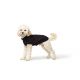 Pull-over pour chiens Birka - Noir