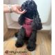 Manteau pour chiens Paxson
