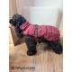 Manteau pour chiens Paxson - Baie