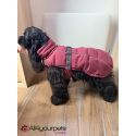 Manteau pour chiens Paxson - Baie