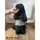 Manteau pour chien Lundby - Olive