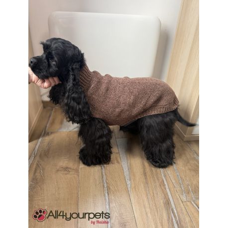 Pull-over pour chiens Birka - Brun