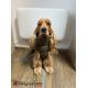 Manteau pour chiens Paxson