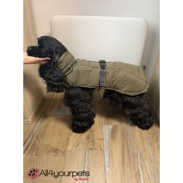 Manteau pour chiens Paxson - Olive