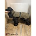 Manteau pour chiens Paxson