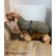 Manteau pour chiens Paxson