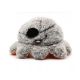 Jouet Chien Reversible Pumpkin : 20 cm