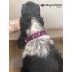 Handmade adjustable fabric collar, "Bow Tie" pattern 