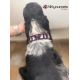 Handmade adjustable fabric collar, "Bow Tie" pattern 