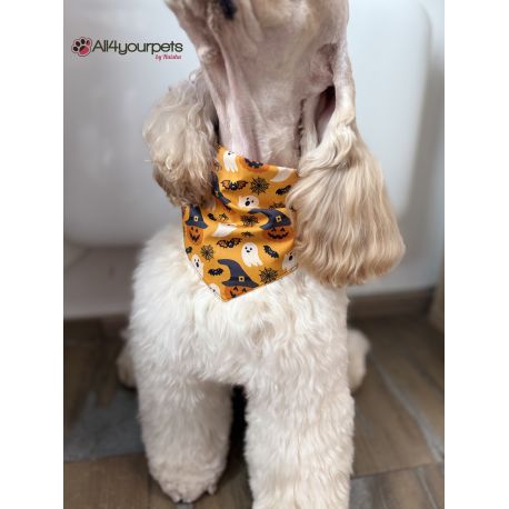 Bandana - Foulard -Fait main - Attache noeud - Motif "Pumpkin" - Taille "Cocker"
