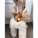 Bandana - Foulard -Fait main - Attache noeud - Motif "Pumpkin" - Taille "Cocker"