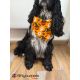 Handmade Bandana - Scarf - Knot Tied - "Stars & Stripes" pattern - Cocker size