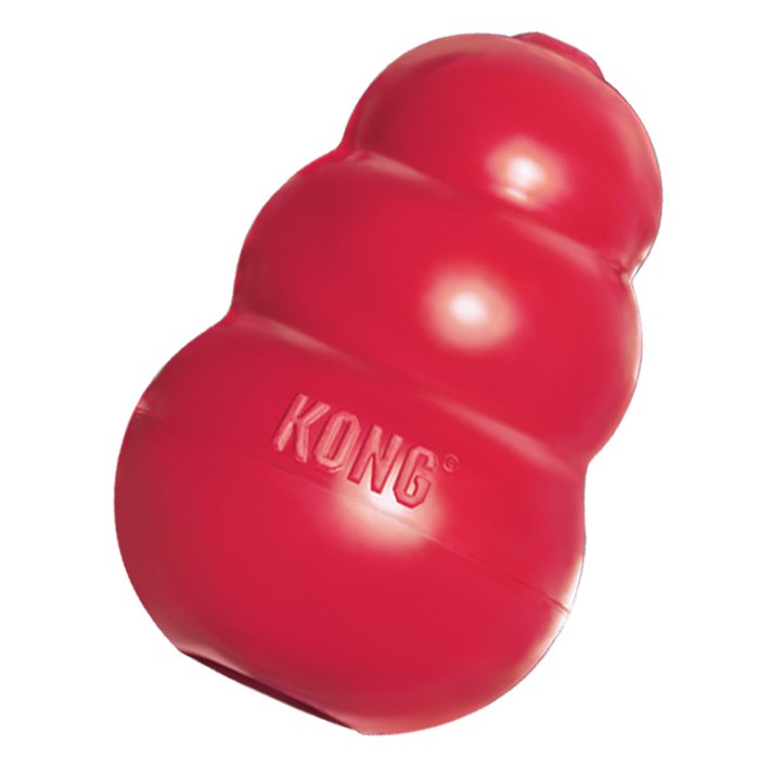 kong cone