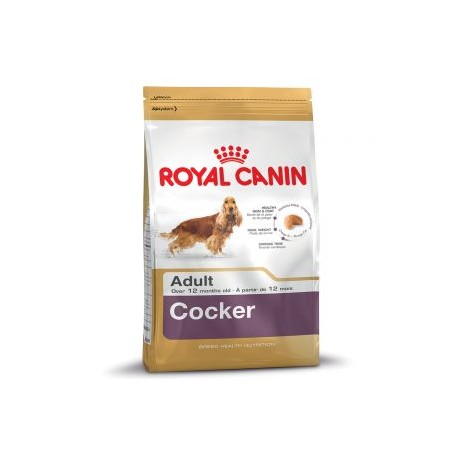 Royal Canin Cocker adulte